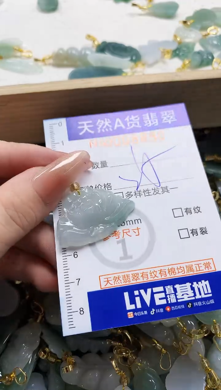 颈饰未镶嵌翡翠天然A货翡翠