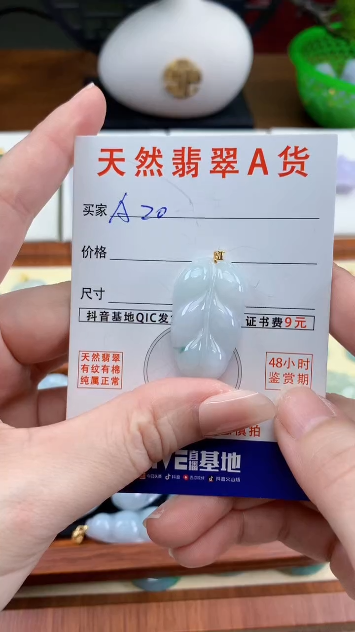 颈饰未镶嵌翡翠天然A货翡翠挂件