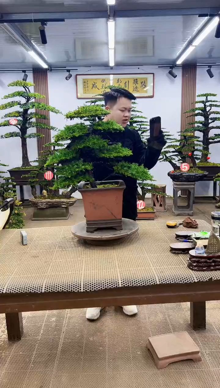 【闪购商品】000000000