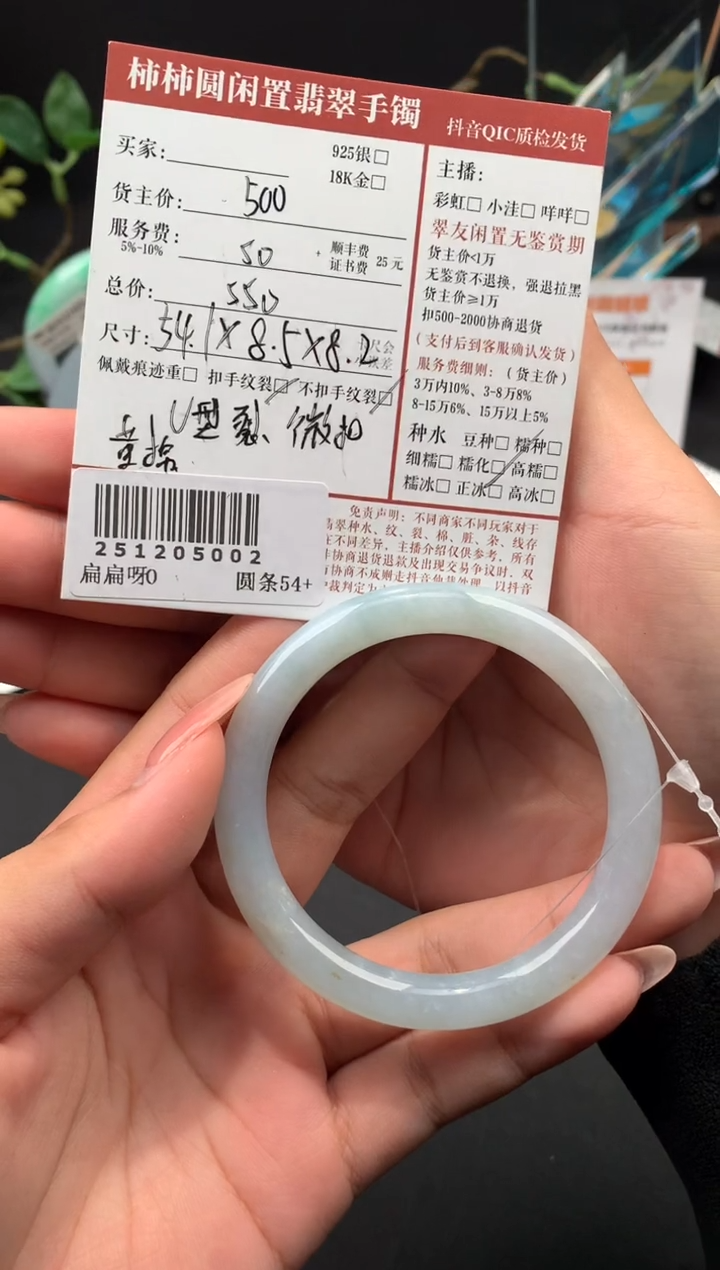 未镶嵌手镯翡翠姐姐251205002