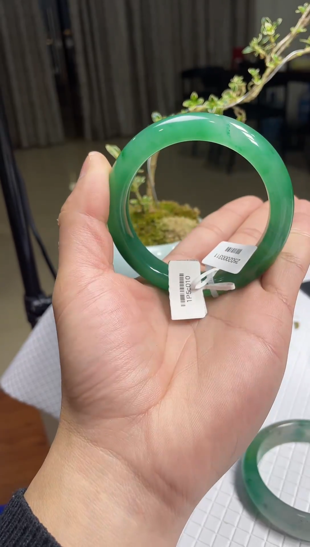 【闪购商品】石英质玉手镯未镶嵌非洲翠手镯多样性发货