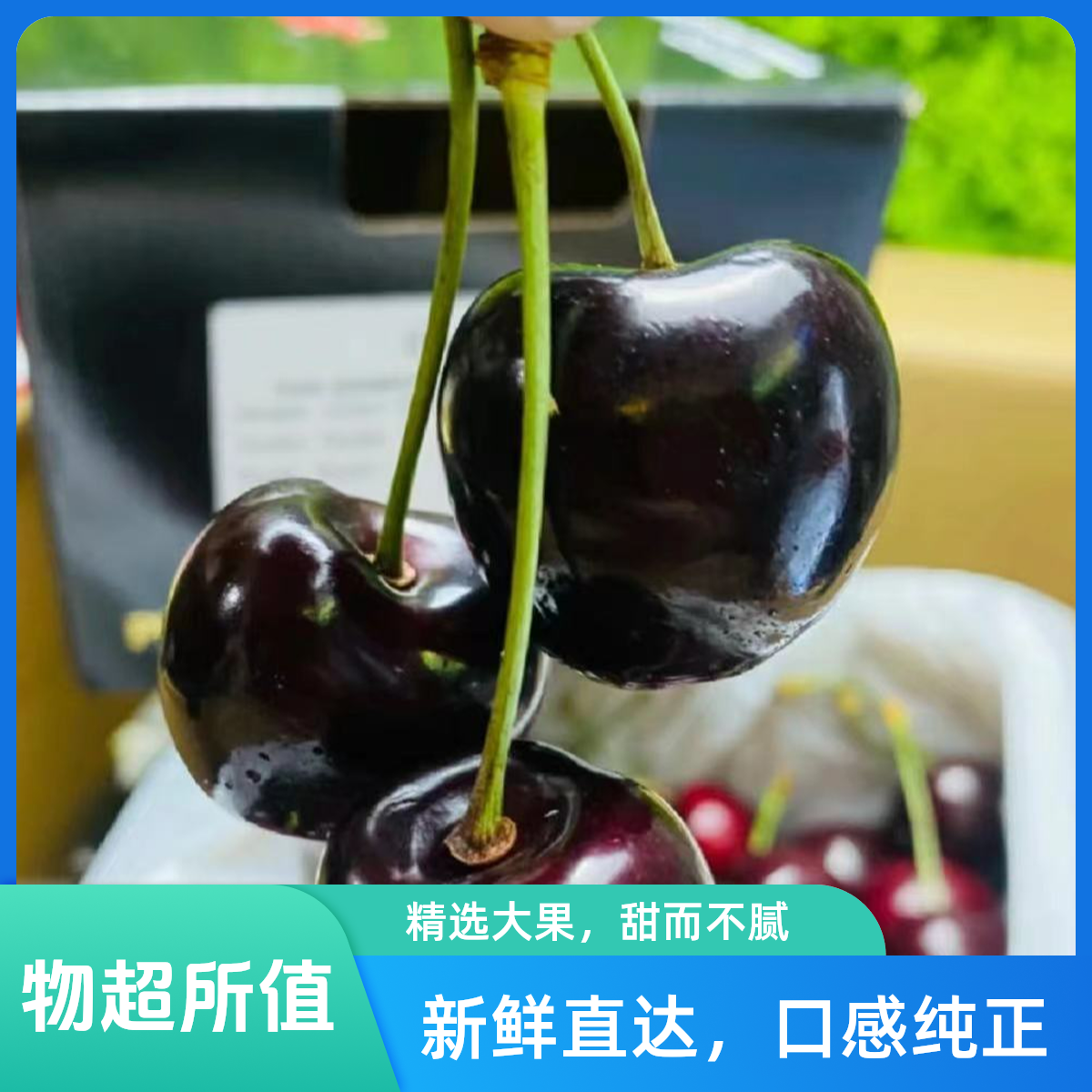 【小时达-科迪亚】R科迪亚车厘子高端水果【3JD/4JD】新鲜水果5斤装 原箱未拆封 更新鲜