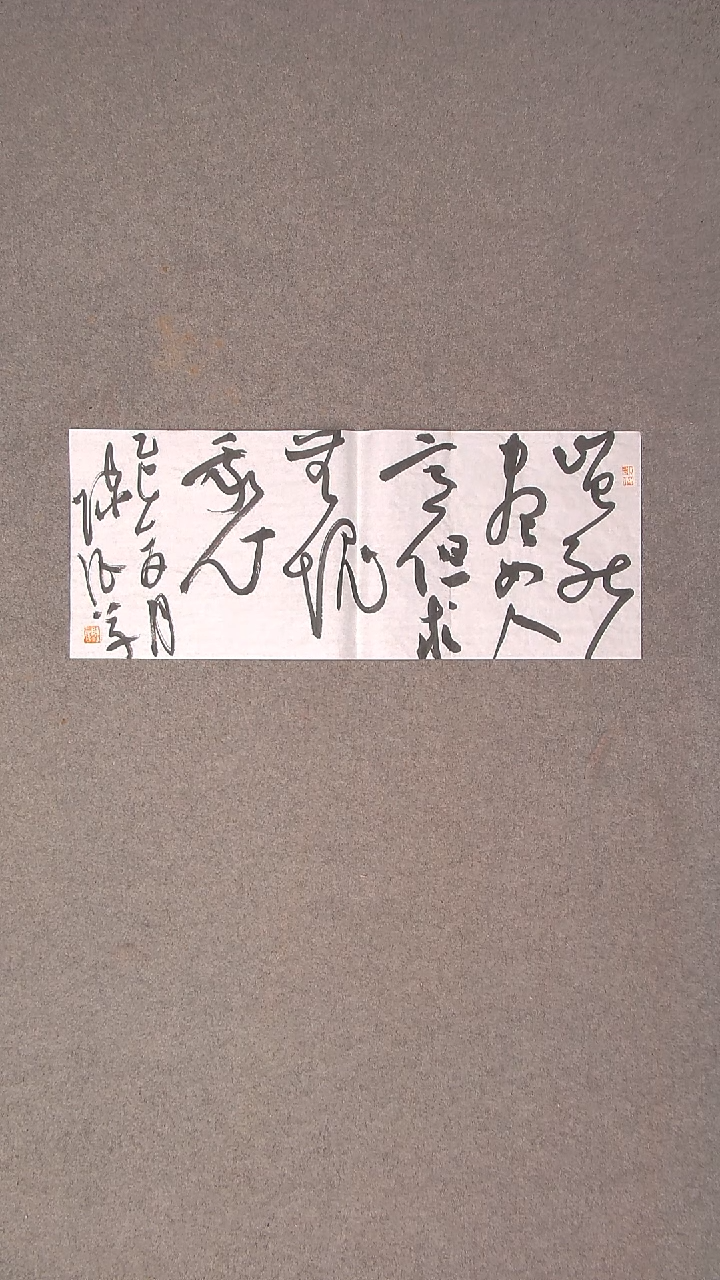 书法陈征 河南南阳 69*28尺寸