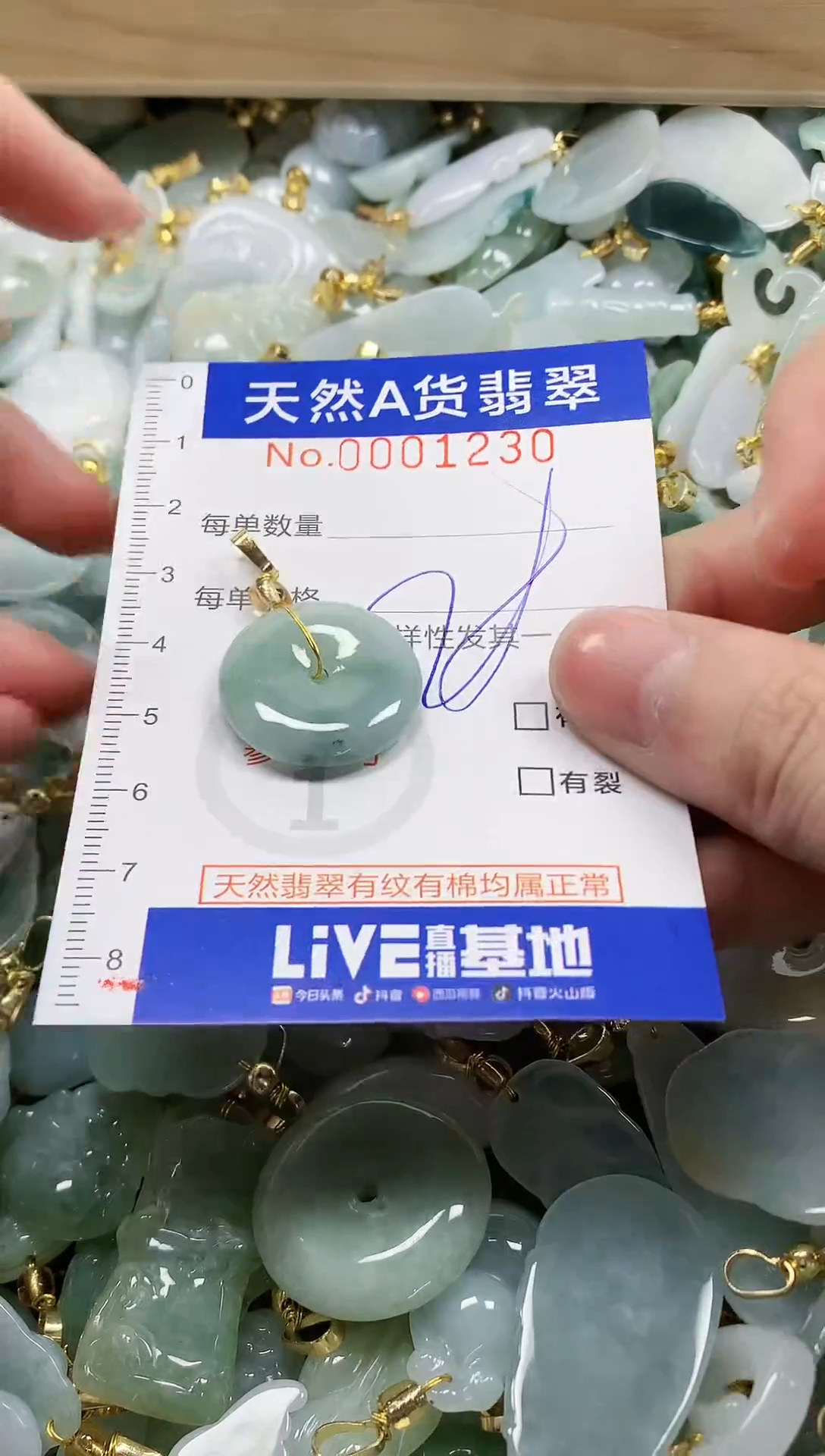 颈饰未镶嵌翡翠纯天然a货翡翠