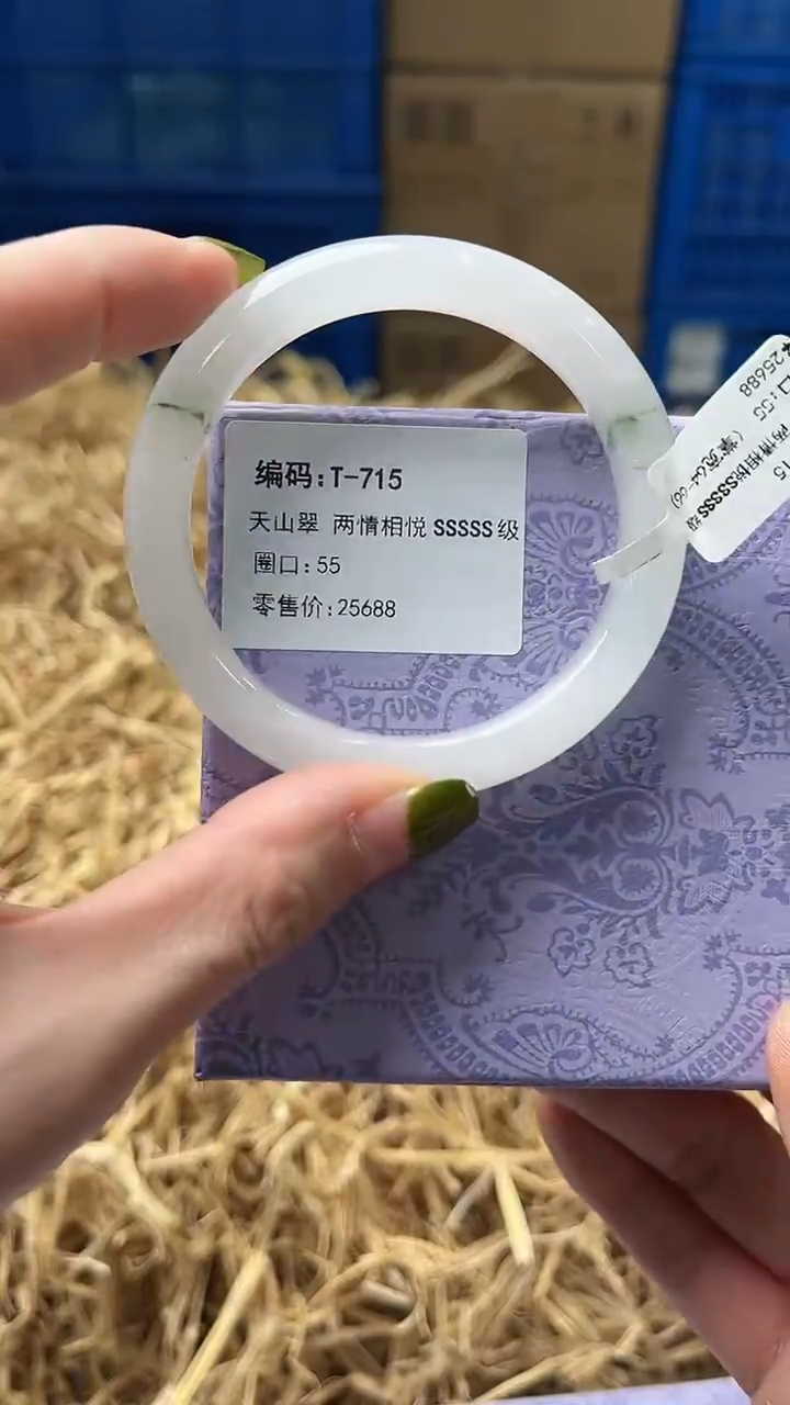 未镶嵌手镯石英质玉T-715