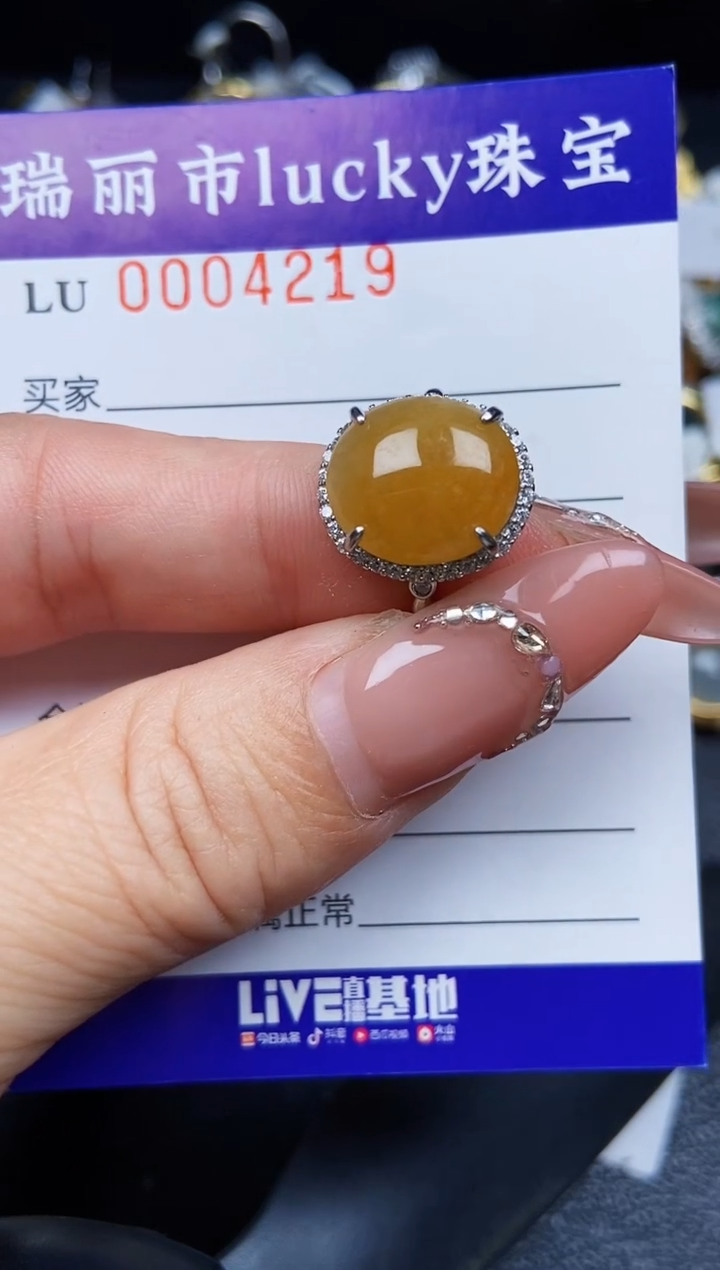 翡翠银S925镶嵌颈饰4219