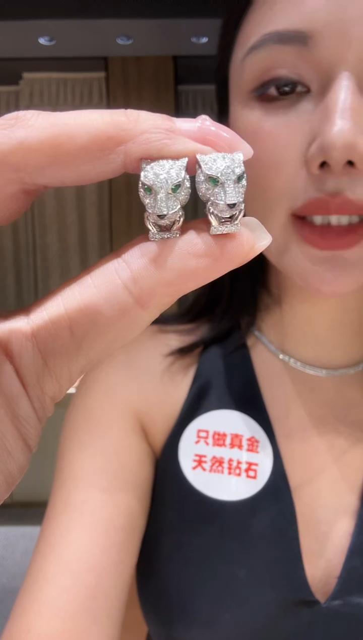 耳饰铂Pt950镶嵌钻石AY0292-PT