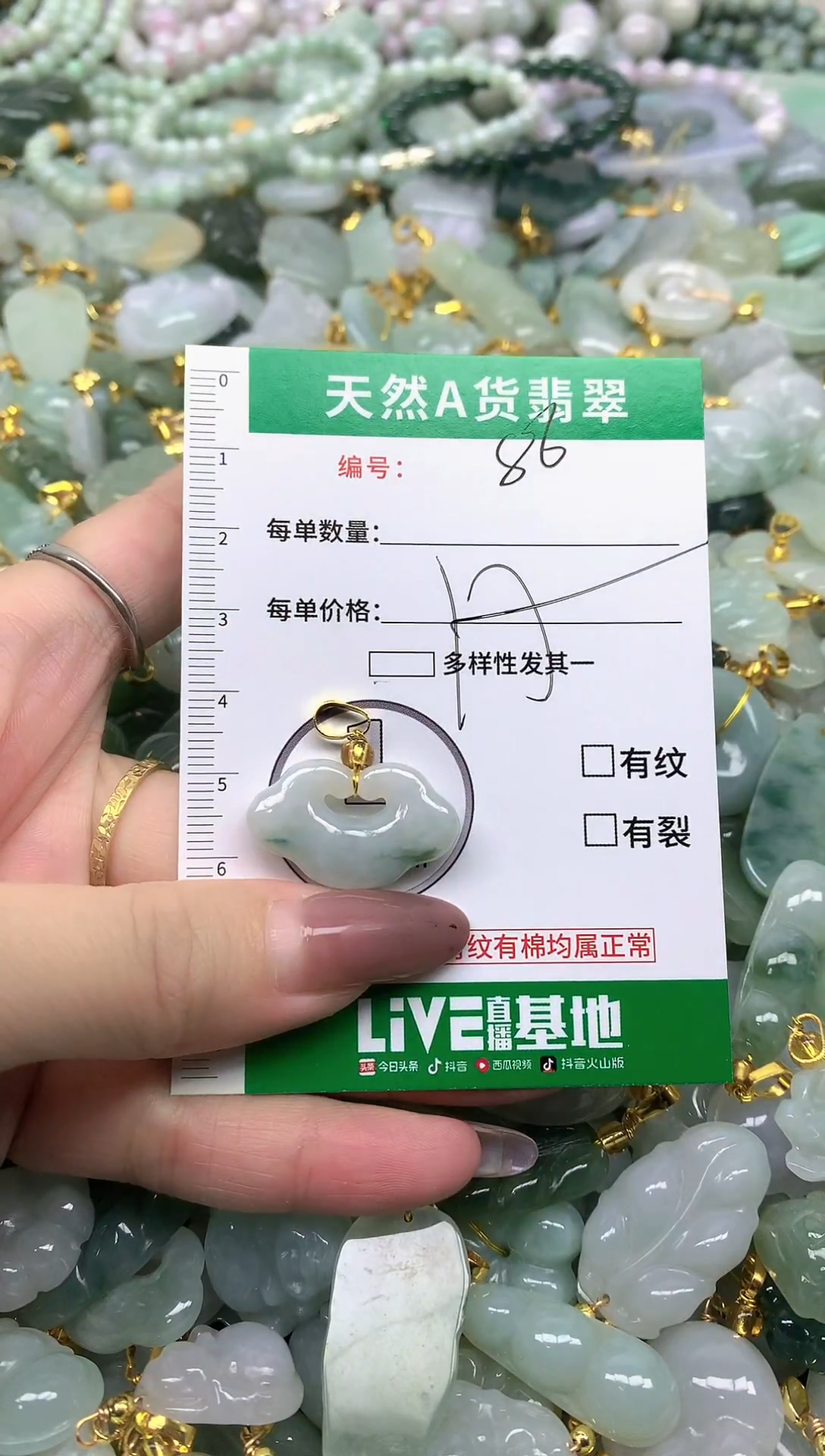 颈饰未镶嵌翡翠纯天然缅甸A货翡翠-86