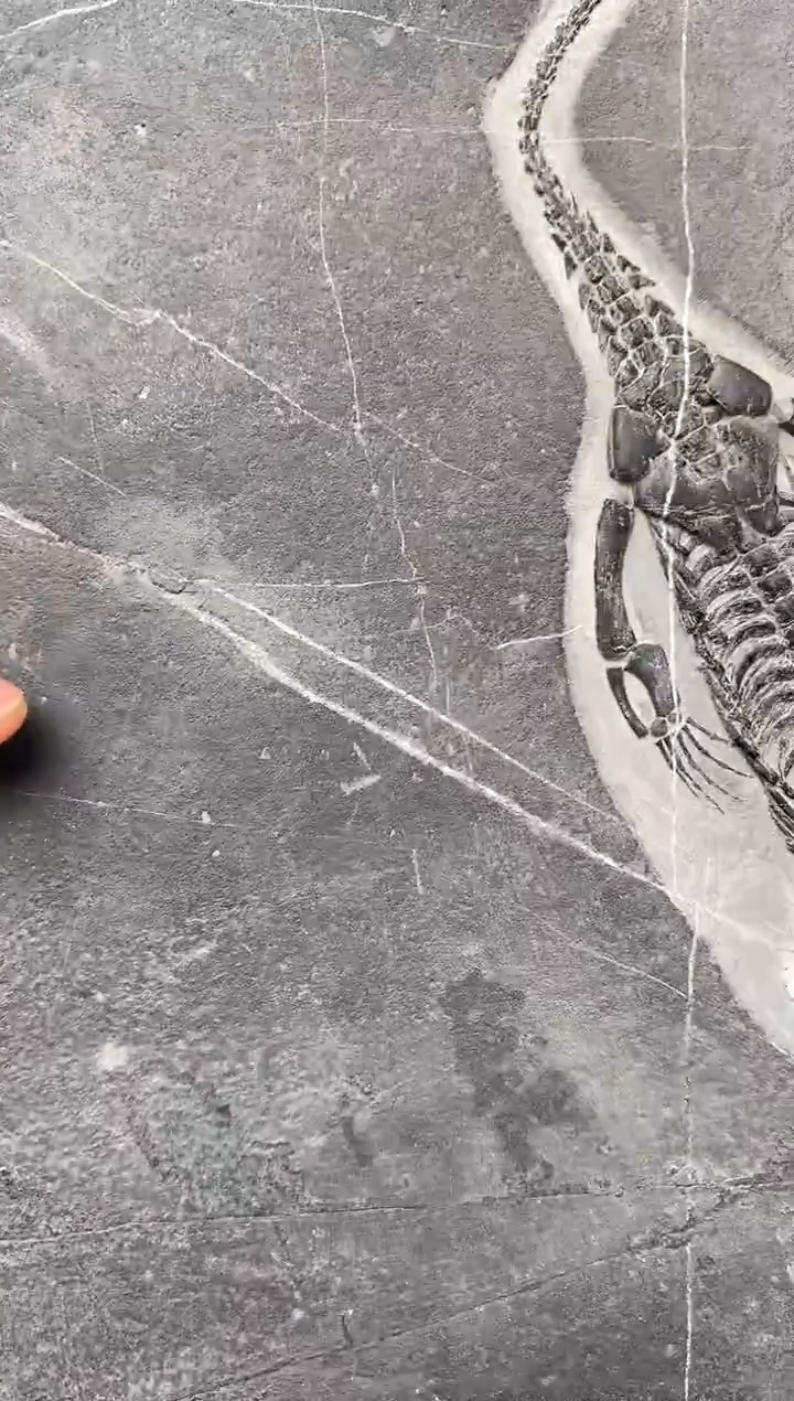 精美摆件创意礼物家居配饰新年礼物个人收藏