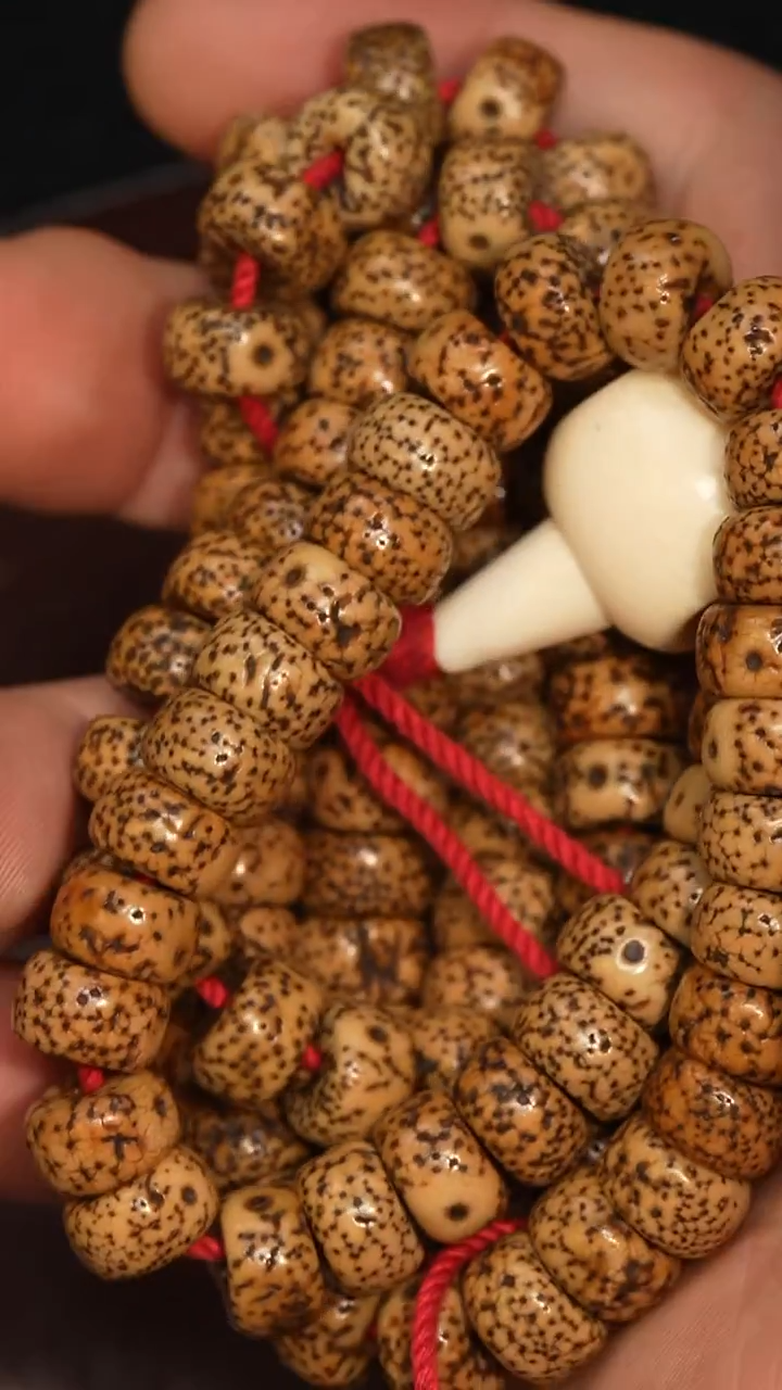 冲赛康胡子哥，藏传念珠182