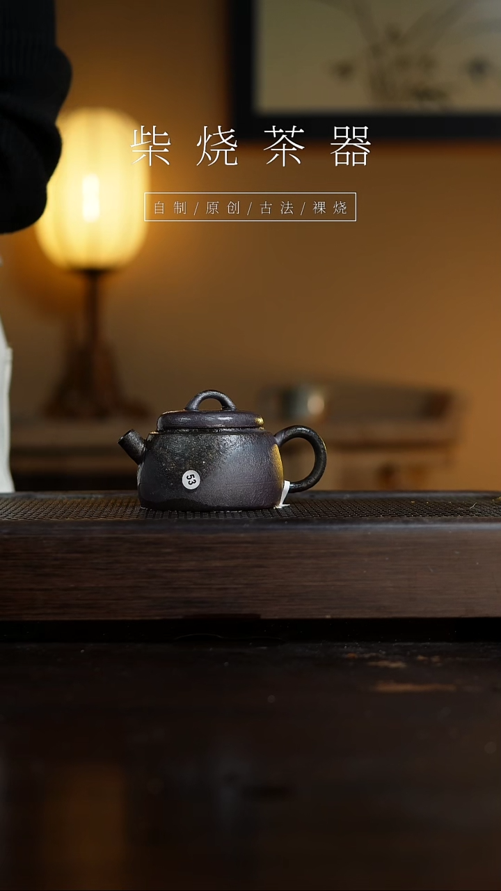 【闪购商品】53惊蛰壶           