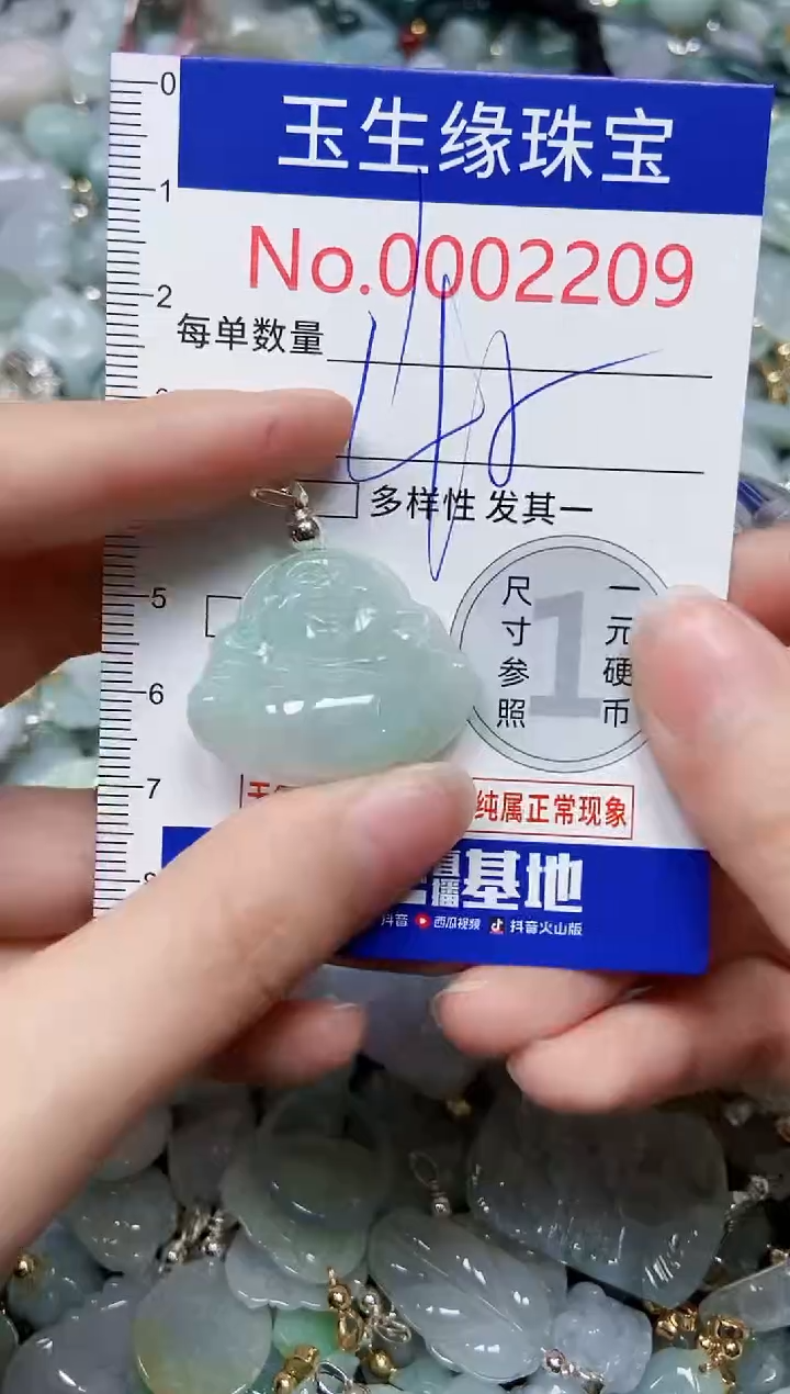 【闪购商品】翡翠颈饰未镶嵌闪购00002209