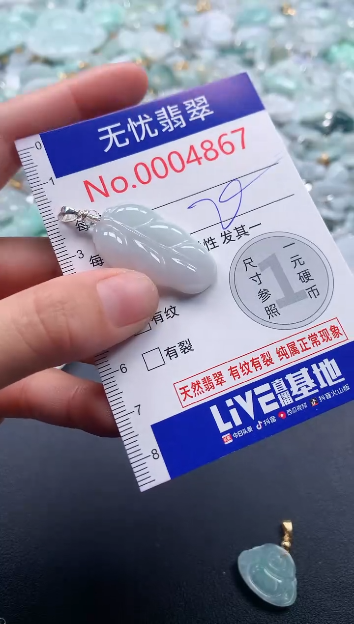 吊坠(不含链)未镶嵌翡翠4867