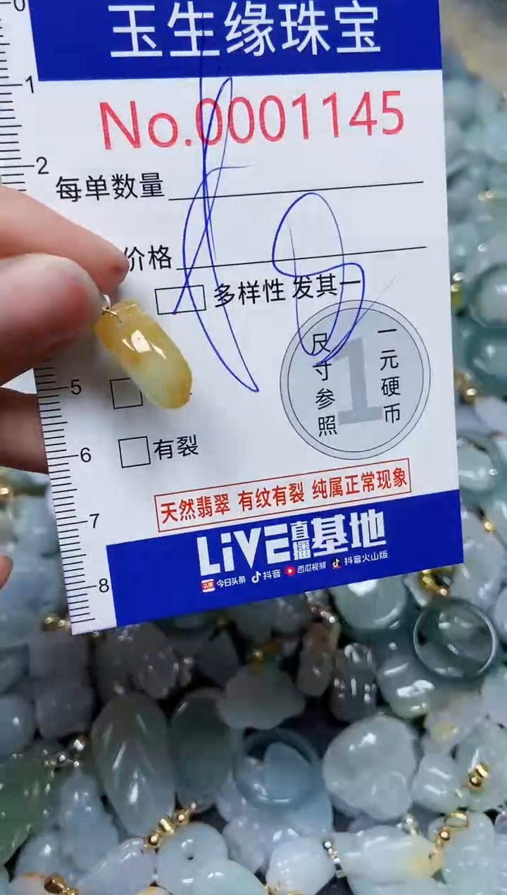 【闪购商品】翡翠颈饰未镶嵌闪购00001145