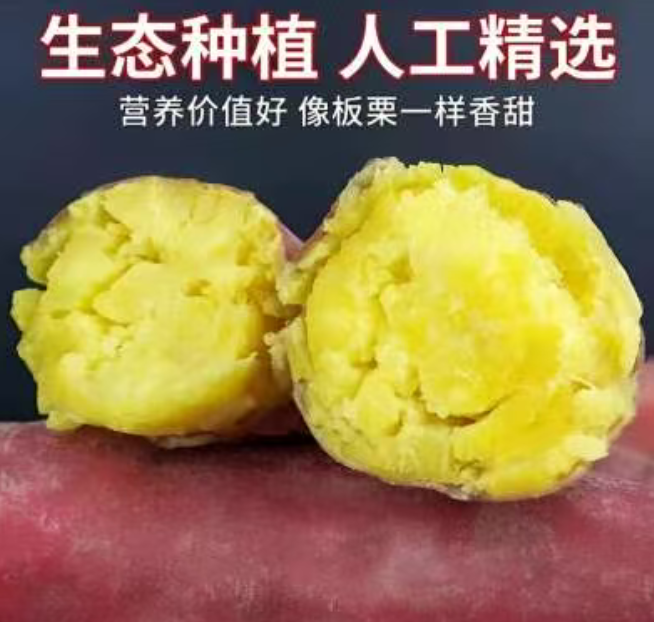 【买3斤送2斤到手5斤】新鲜现挖红薯软糯香甜的板傈红薯kr