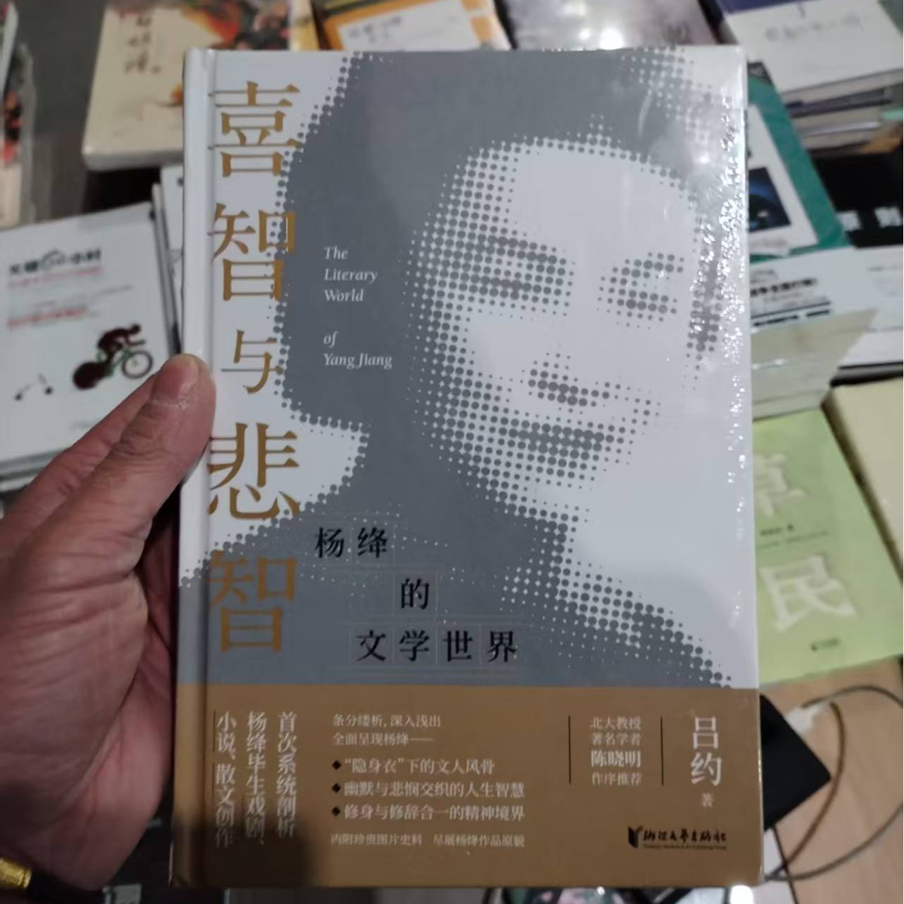 智慧与悲智杨绛的文学世界精装版吕约著