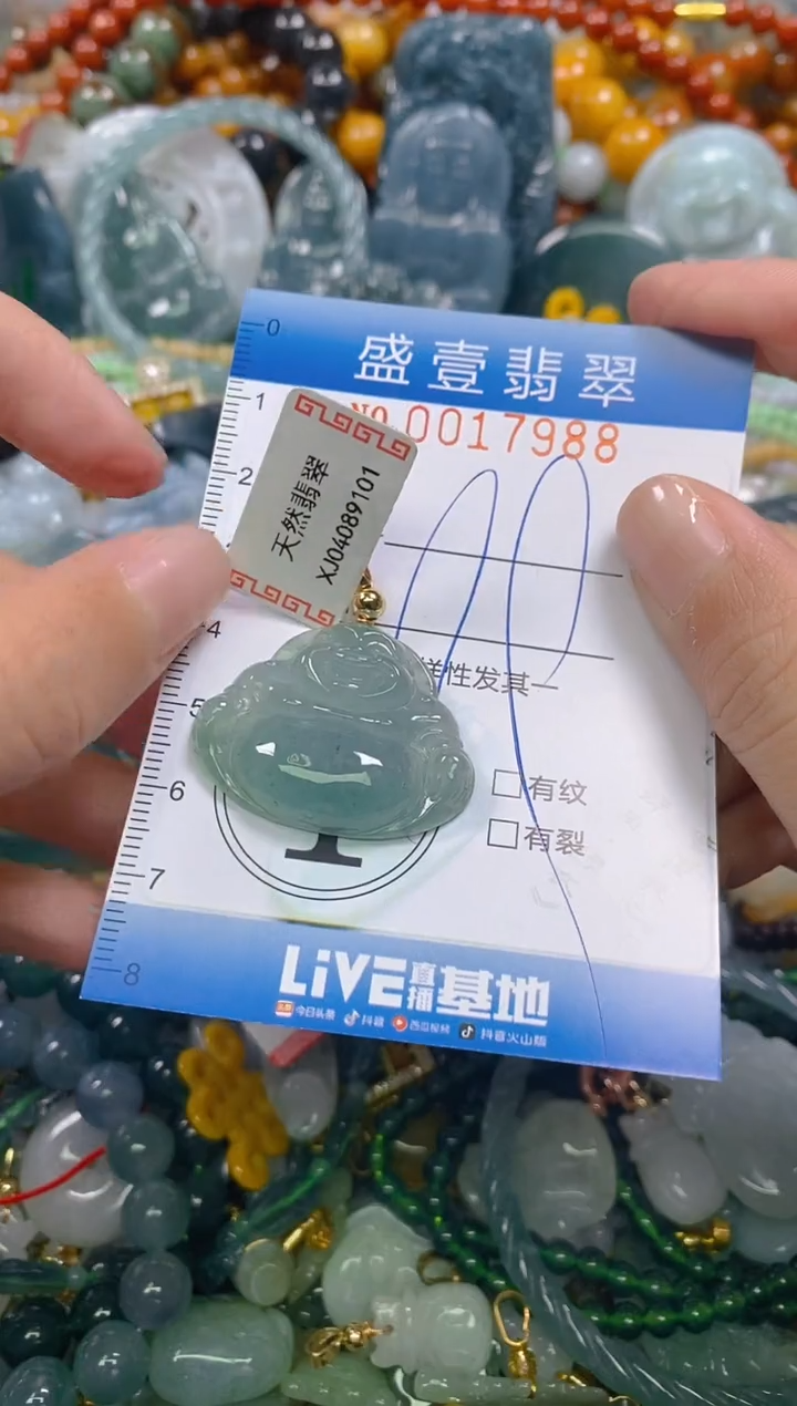 颈饰未镶嵌翡翠闪购0017988