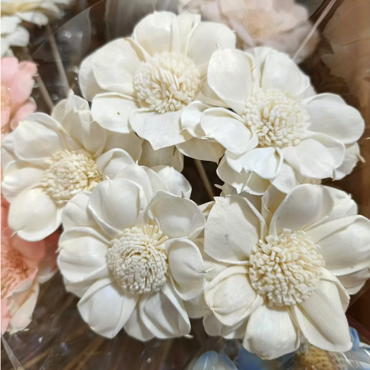 【团花】通草团花花头直径6-7cm云南干花手工花小花束居家装饰配花