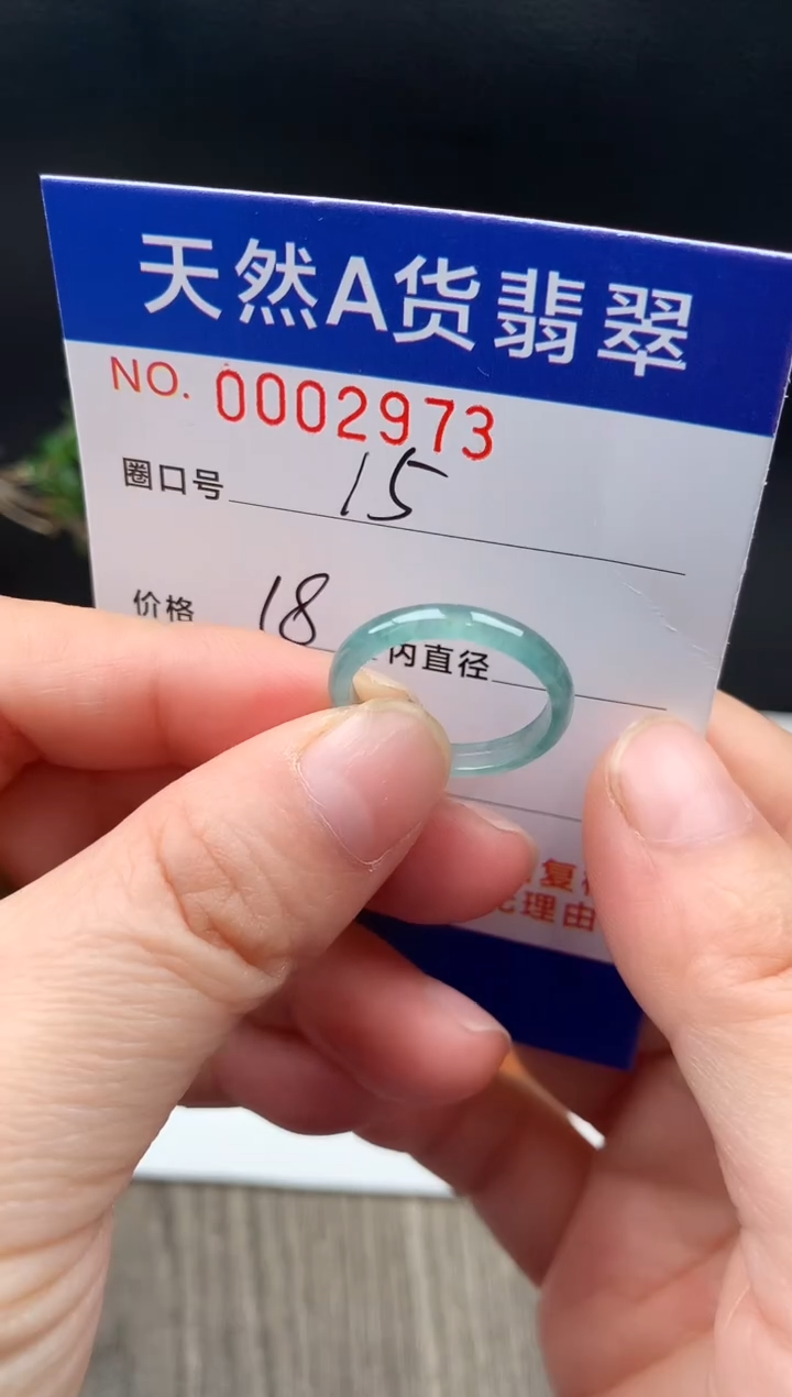 未镶嵌戒指翡翠15#