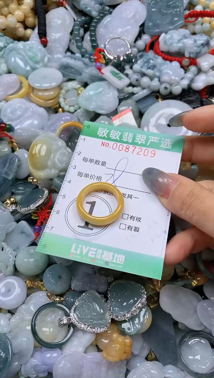 【闪购商品】翡翠颈饰未镶嵌闪购0087209