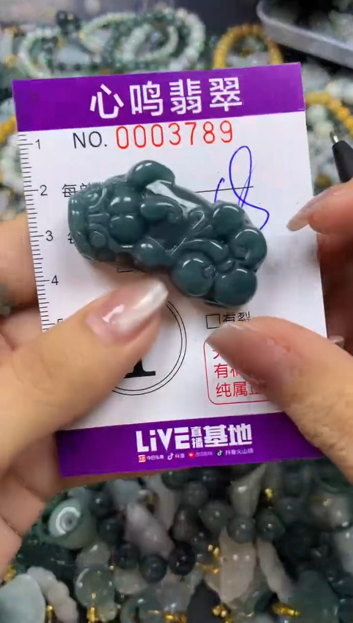 翡翠未镶嵌颈饰闪购003789