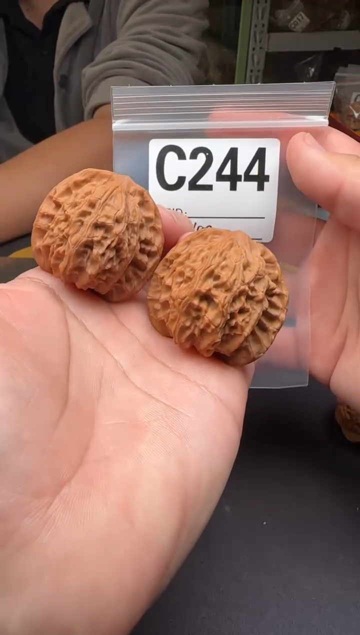 吊坠文玩核桃平顶40-C244