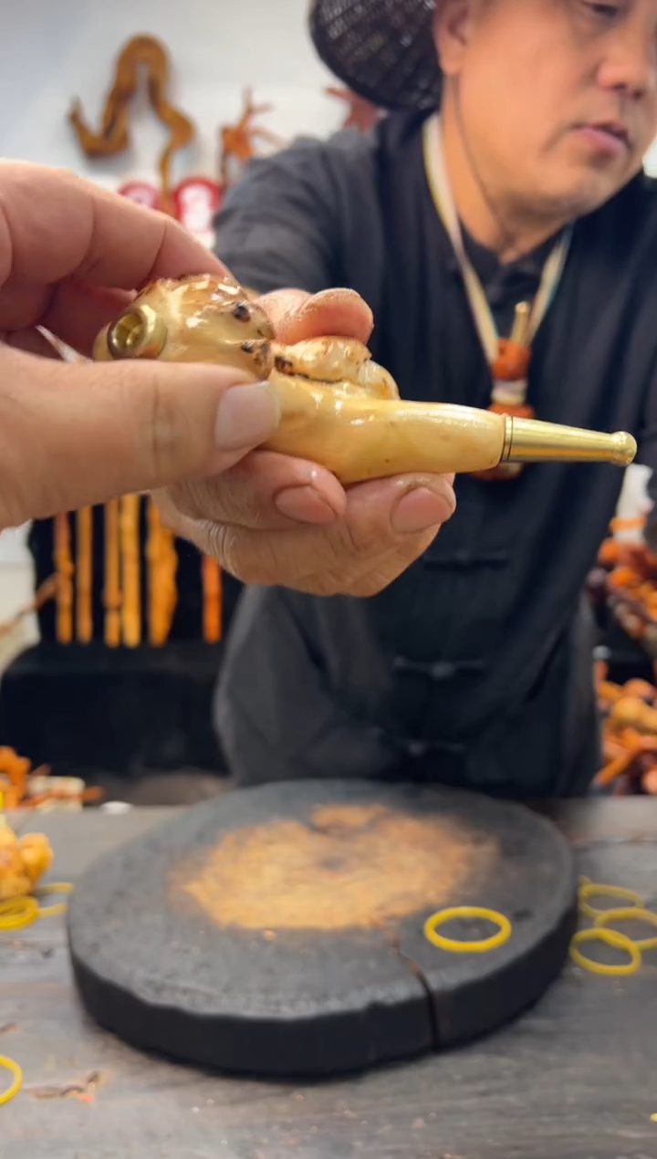 黑果木其他黑果木291