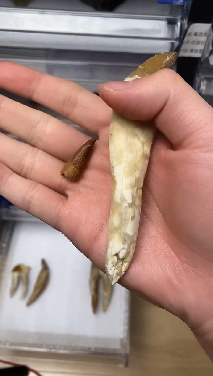 秦*精美摆件创意礼物家居配饰新年礼物个人收藏