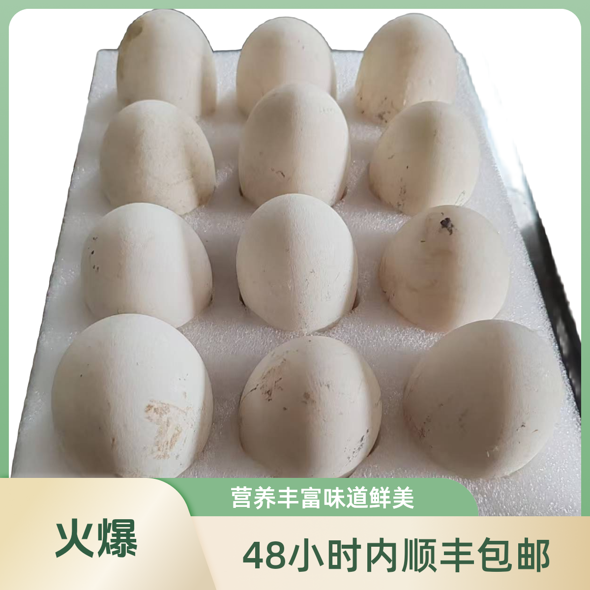 四川农村散养笨鹅蛋顺丰包邮