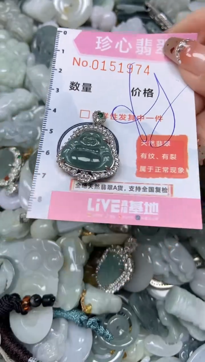 【闪购商品】翡翠颈饰未镶嵌闪购链接0151974