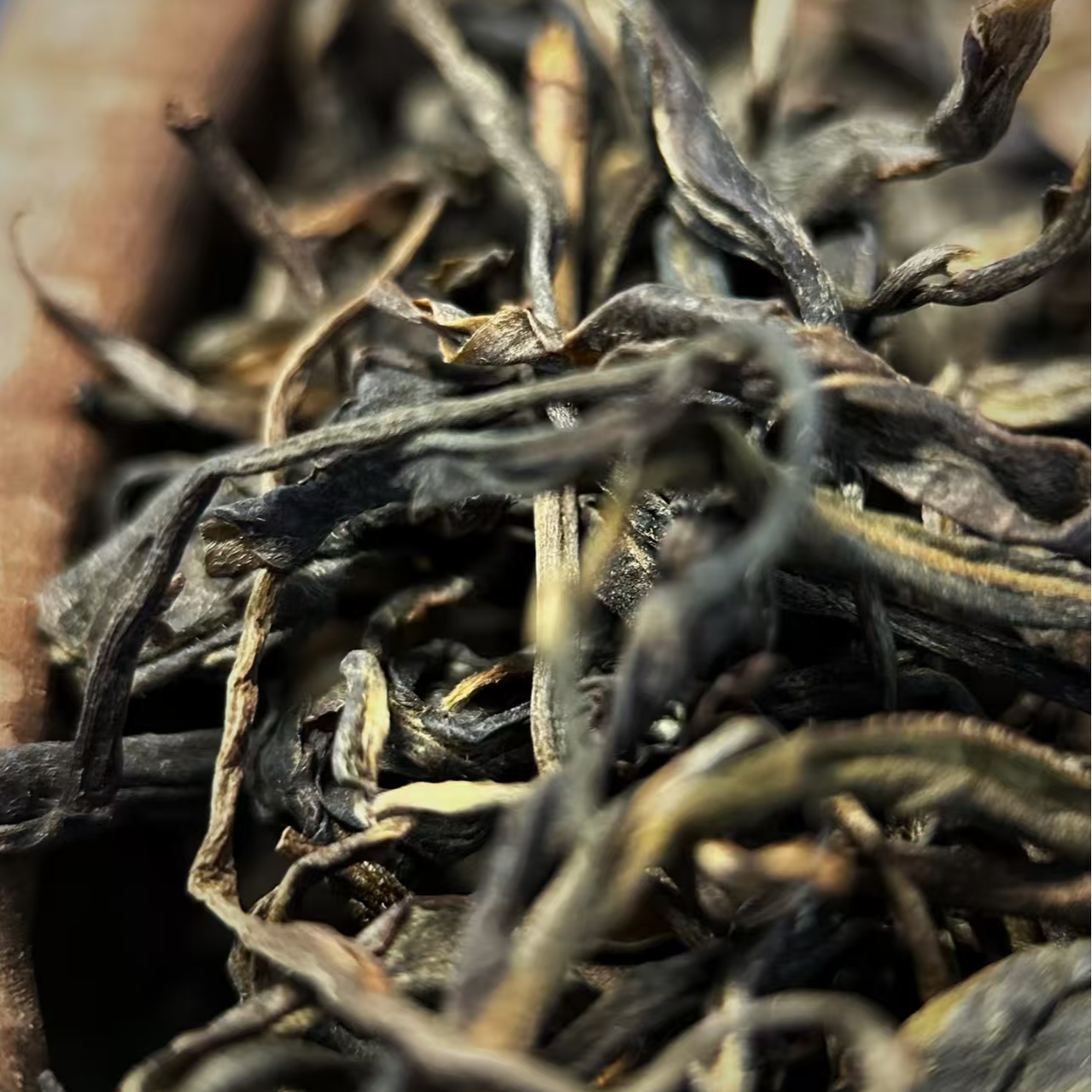 667号2024年凤庆沧江大峡谷古树（春）普洱生茶散料 