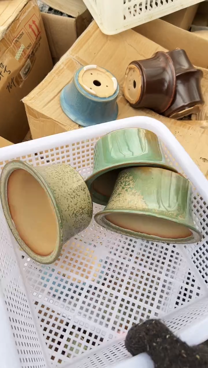 友**生54号3个微瑕的