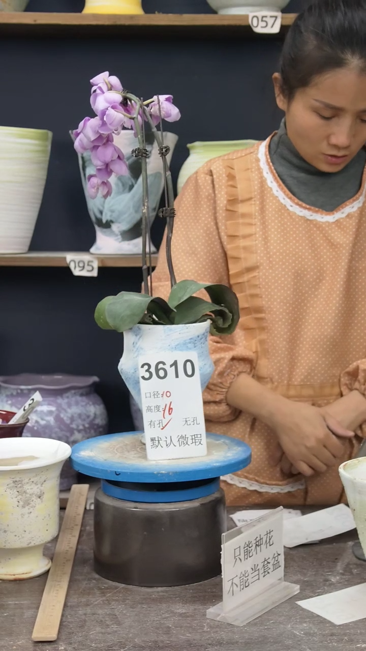 景德镇花盆默认微瑕3610