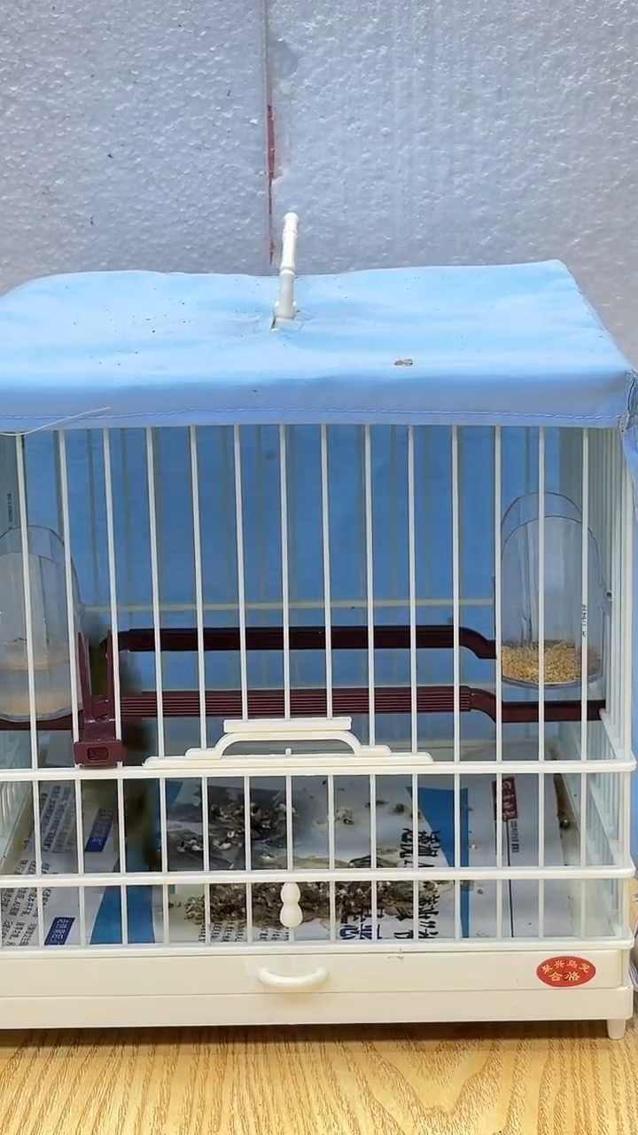 34号  绣眼养笼0元起拍