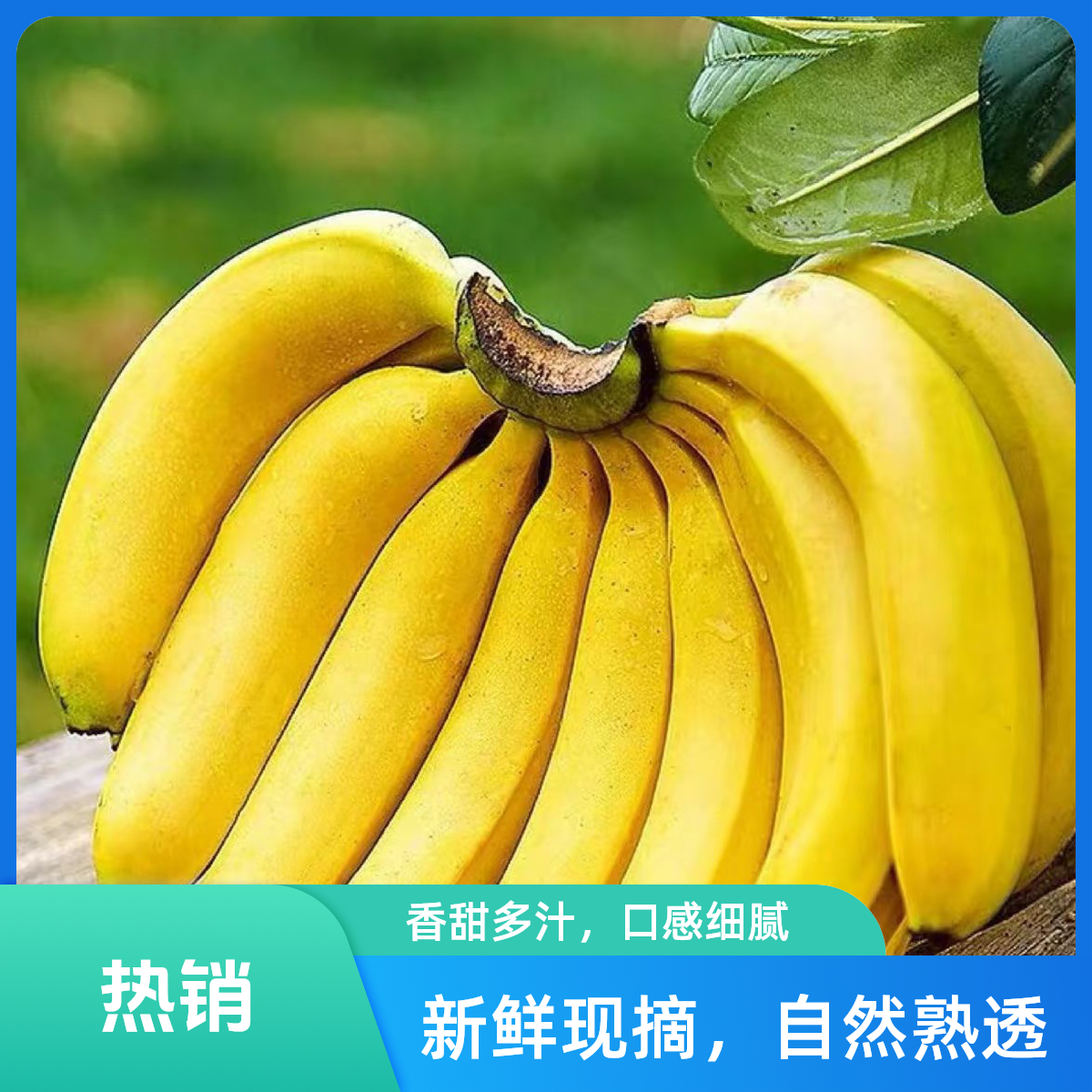 【必买爆品】特价新鲜香甜香蕉2斤10，数量有限先到先得