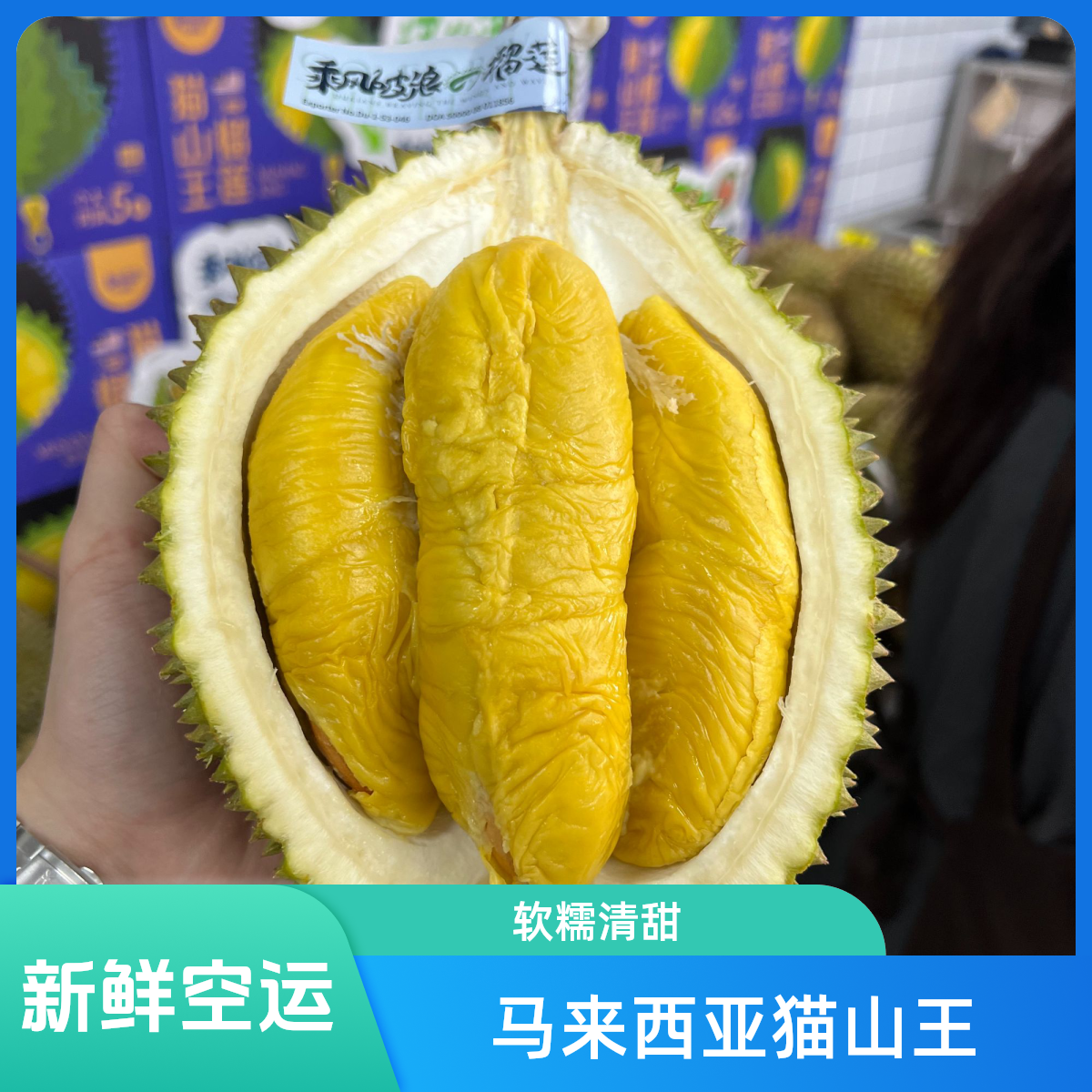 【乘风破浪的猫山王】新鲜空运马来西亚猫山王榴莲  核大g猫山王马来西亚
