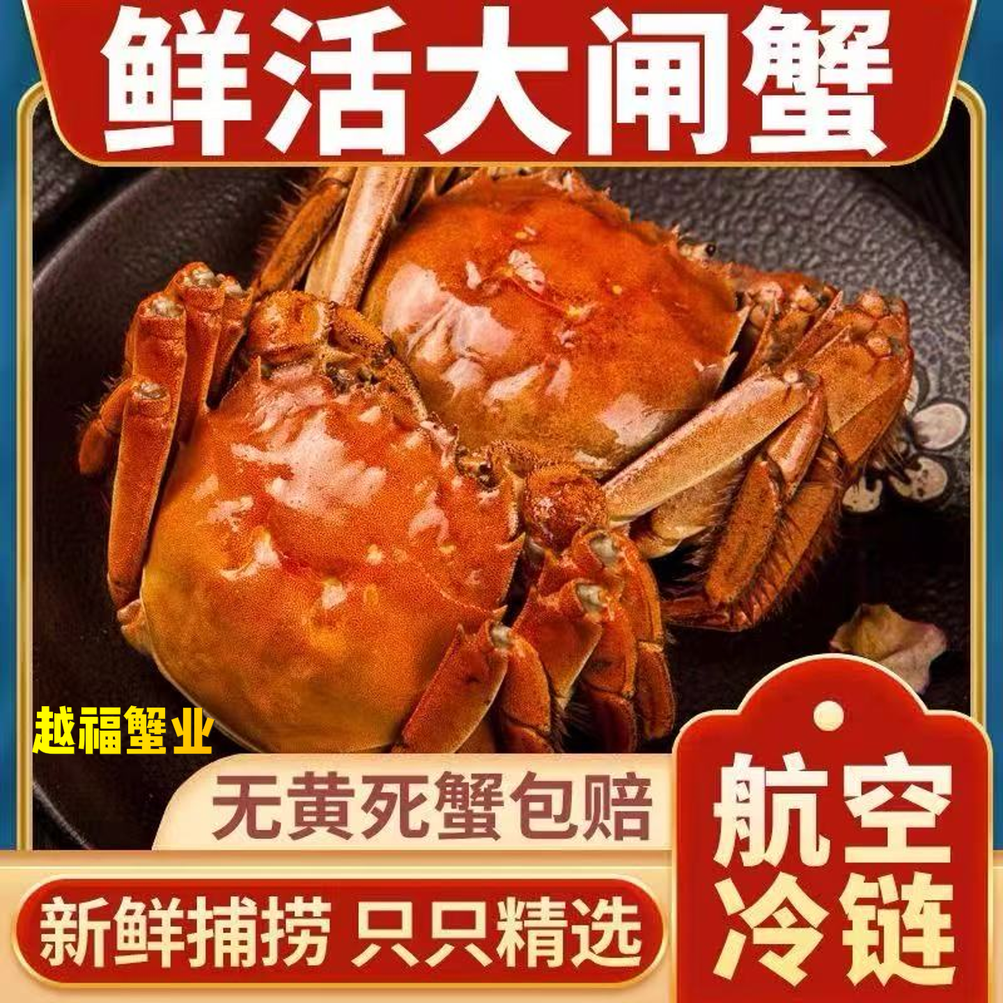 【活蟹】3.5-3.2两母8只  生鲜冷链包邮