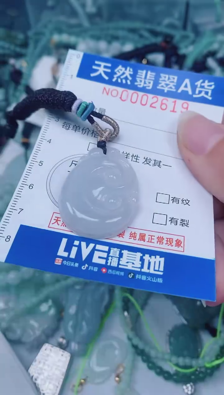 颈饰未镶嵌翡翠0000219