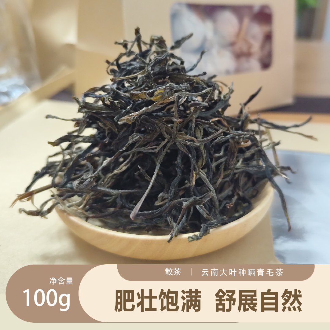 云南临沧昔归生普散茶 古树纯料 鲜爽野韵 汤色透亮