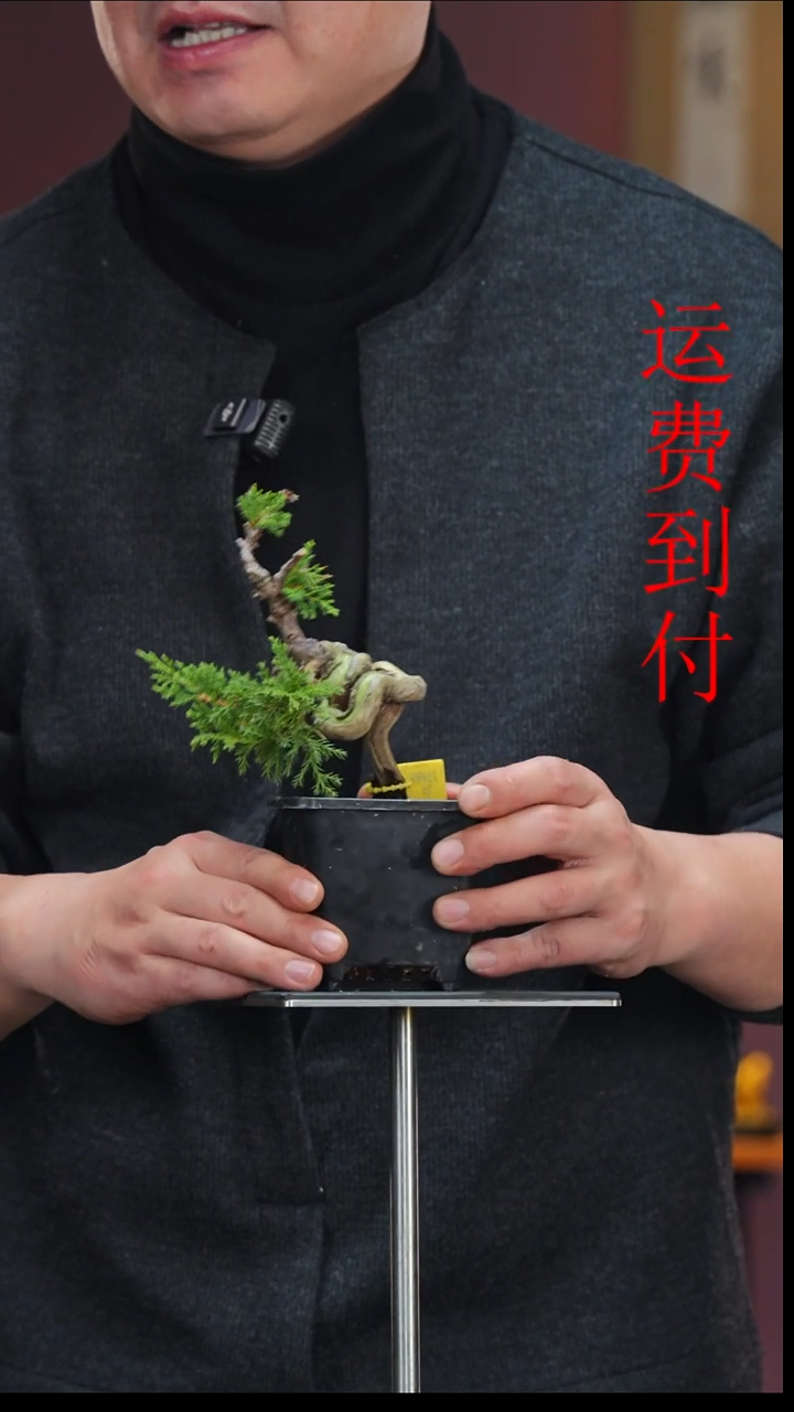 无花朵会****?17688