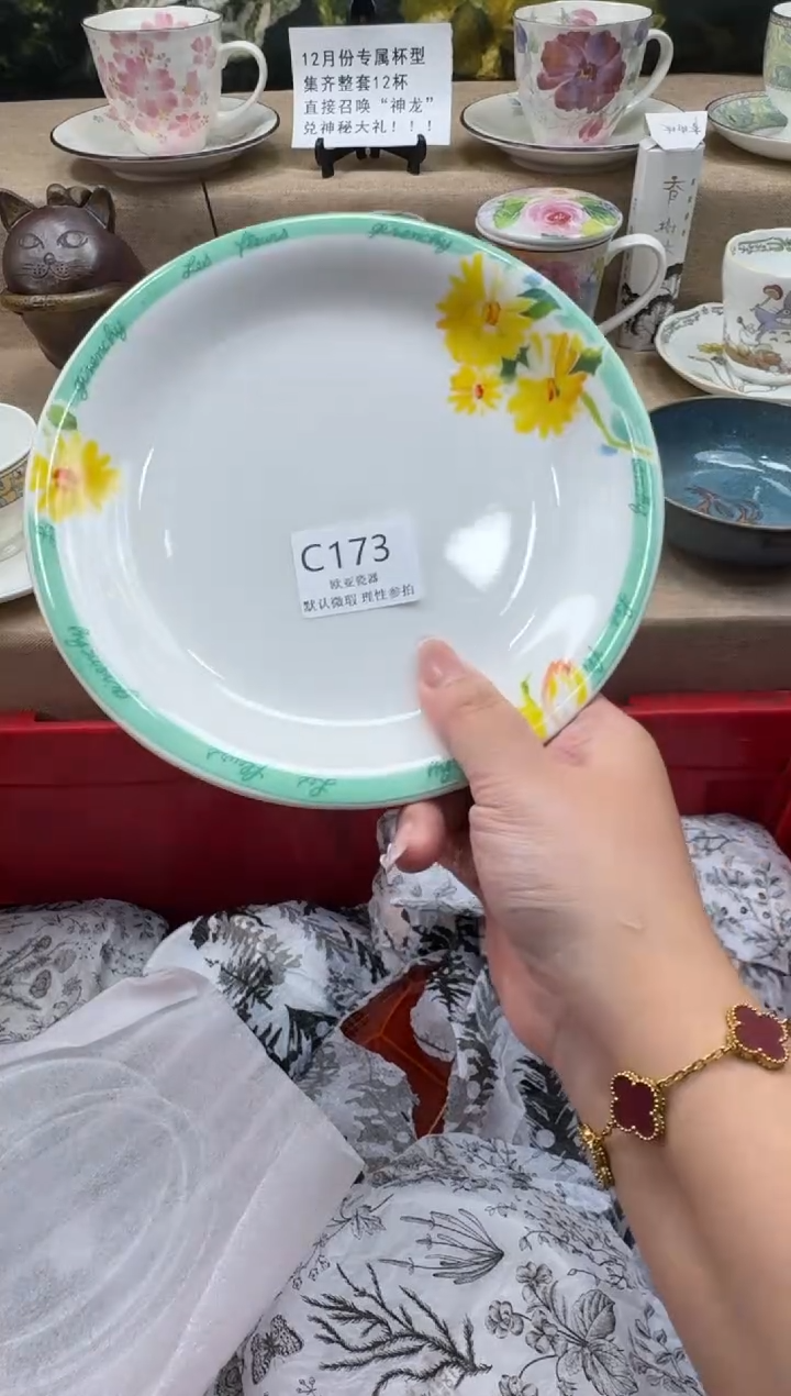 瓷片橘*瓷片  C173