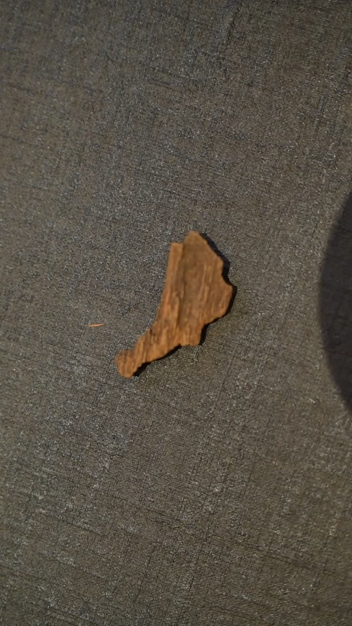 沉香吊坠富森沉水虫漏红土1g