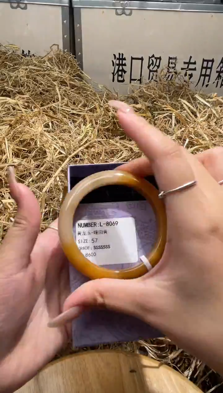 未镶嵌手镯石英质玉L8069Z