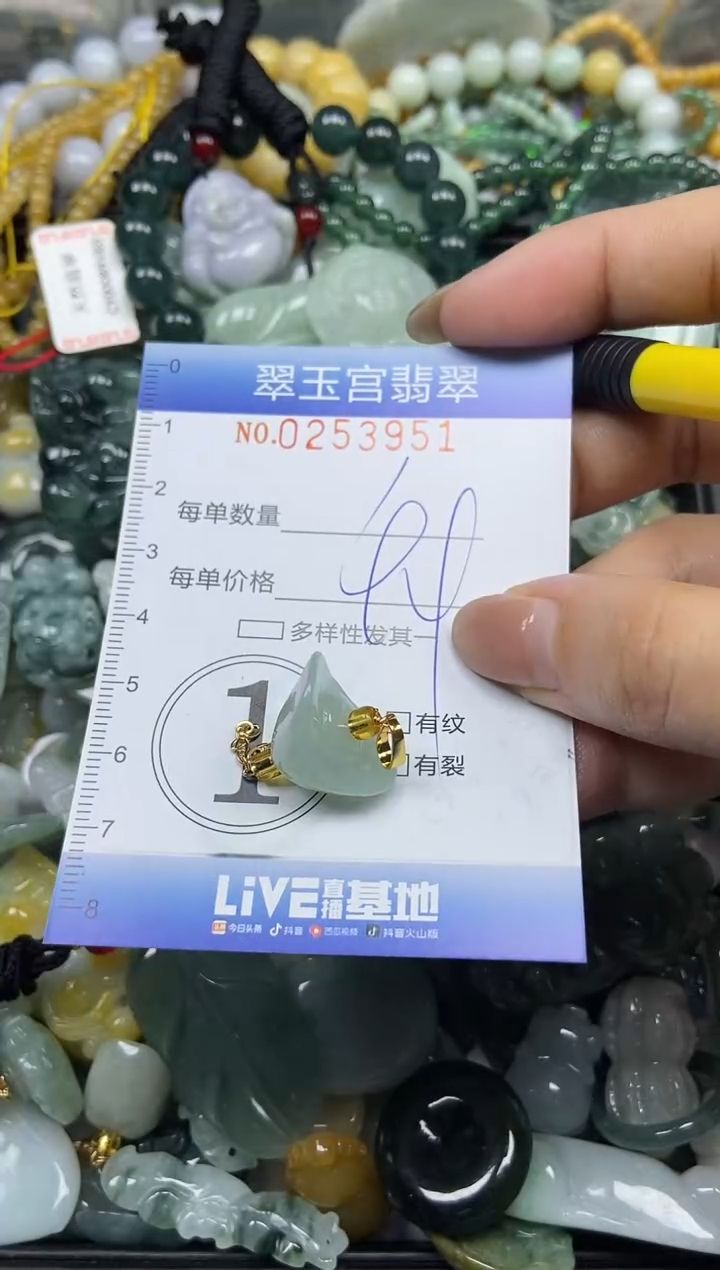 颈饰未镶嵌翡翠闪购C0253951