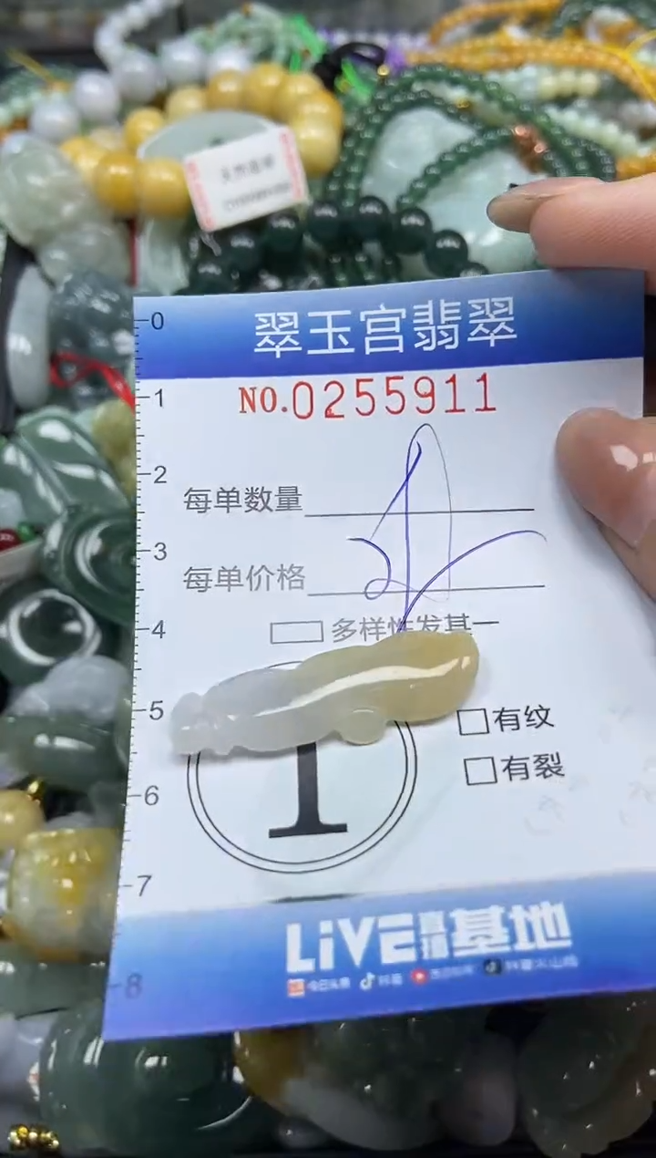 颈饰未镶嵌翡翠闪购C0255911