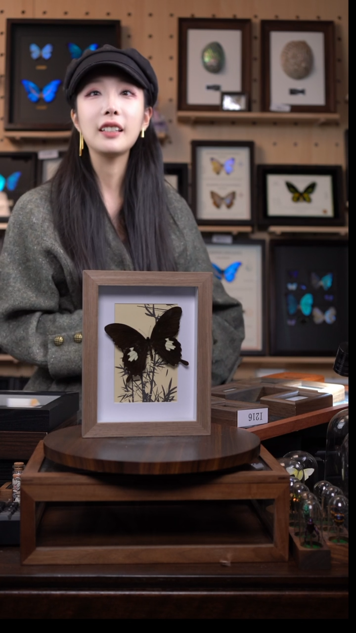 宽带凤蝶竹子款原木框