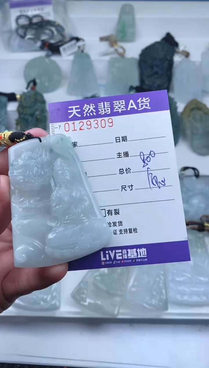 【闪购商品】翡翠颈饰未镶嵌         309