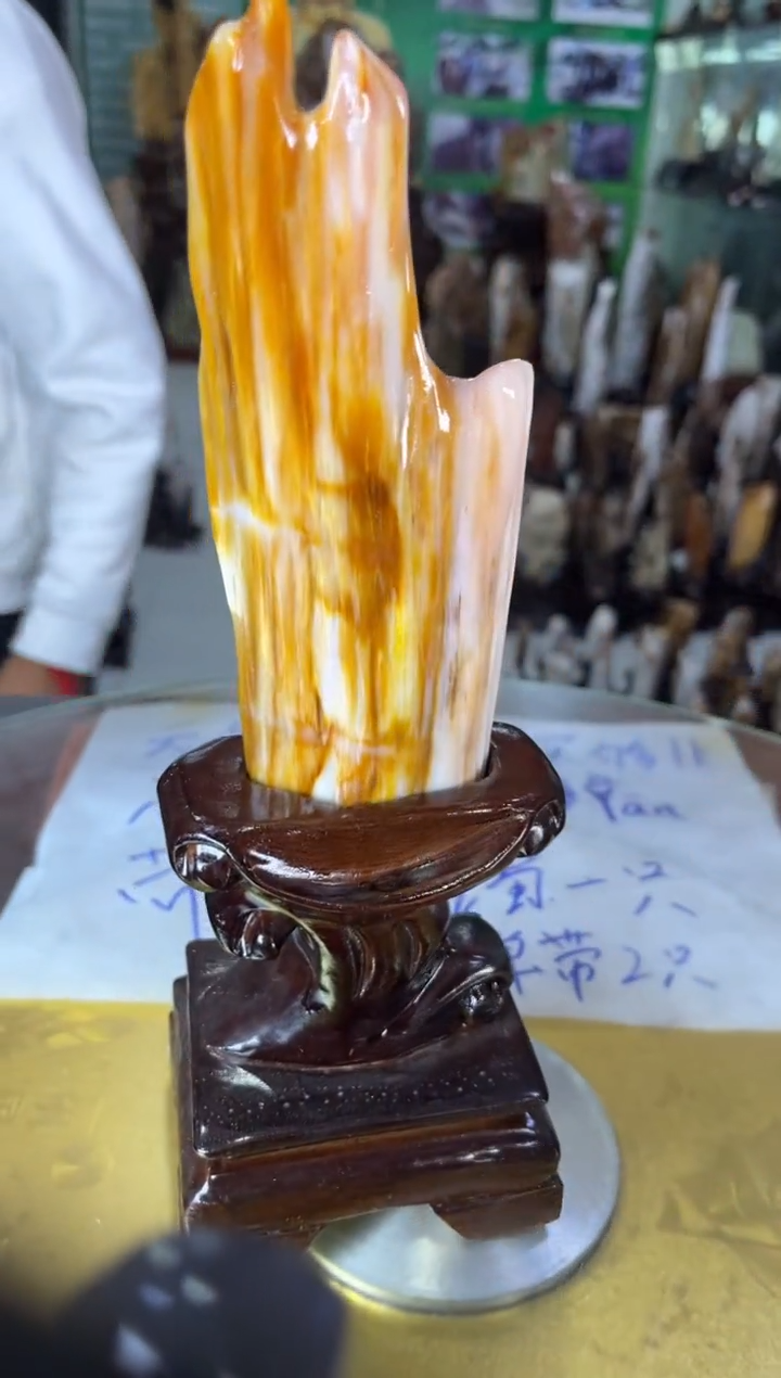 未镶嵌珠宝奇石硅化玉缅甸天然树化玉精品居家摆件