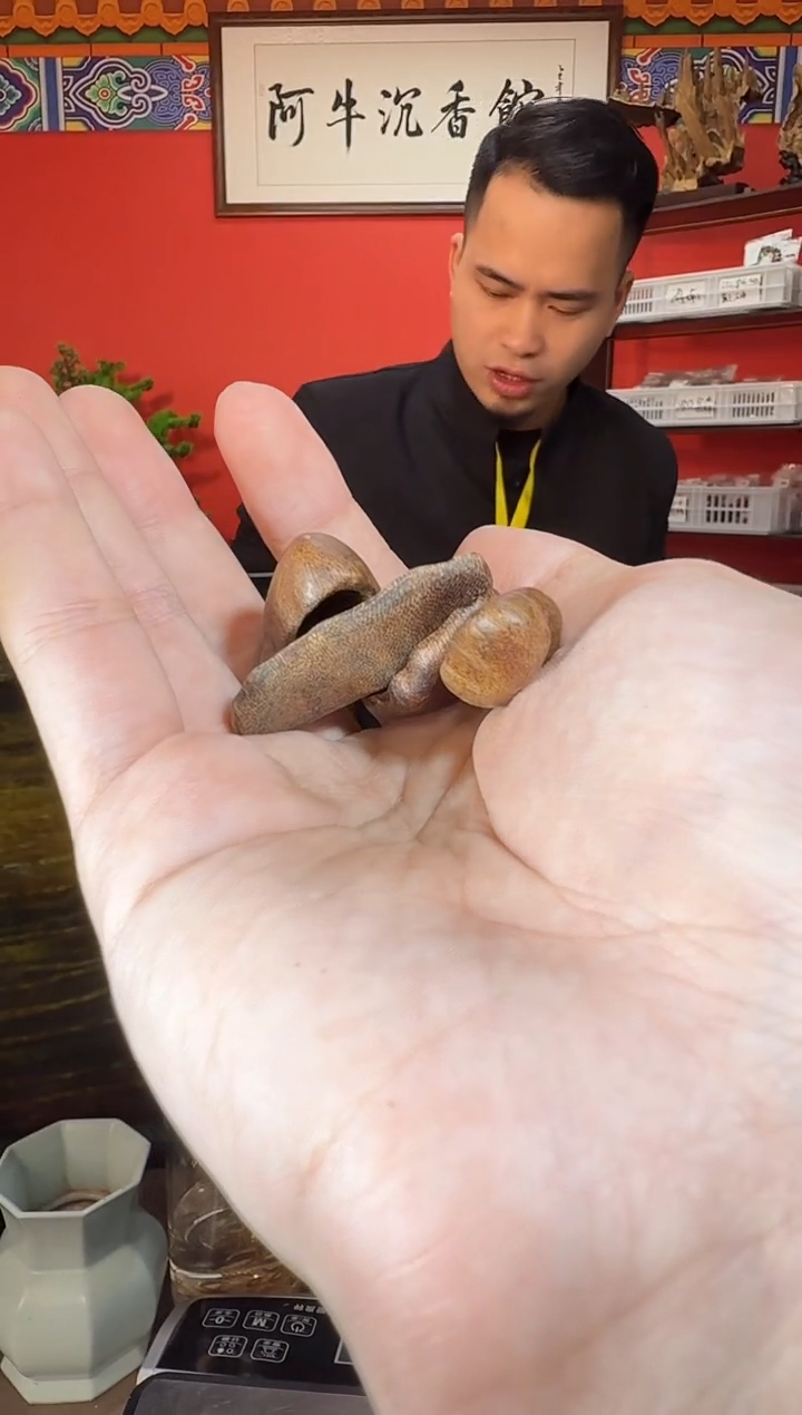 沉香吊坠Q25富森多样性发一