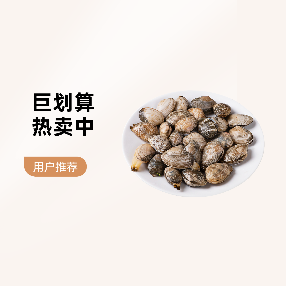 鲜活净贝大花蛤15/2斤